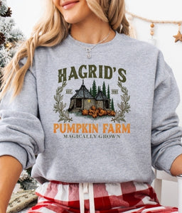 Pumpkin farm